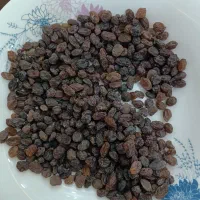 کشمش پلویی ملایر