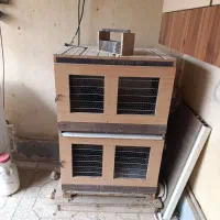 جفتکن کبوتر دو طبقه