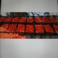 کارگرم