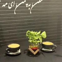 اجاره سالن و کافه|اجارهٔ کوتاه‌مدت ویلا و باغ|قم, سالاریه|دیوار