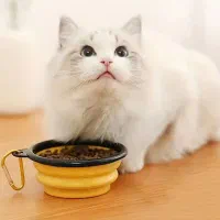 ظرف سیلیکونی تاشو آب و غذای مسافرتی حیوانات