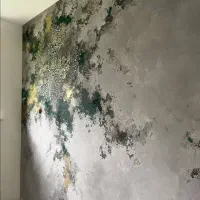 استودیو تخصصی پتینه و میکروسمنت مدرن|خدمات پیشه و مهارت|شیراز, شهرک ولیعصر|دیوار