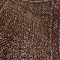 ۶متری افشار در۲رنگ مختلف(حراج پاییزی فرش خیام)|فرش|کرج, کوی امامیه|دیوار