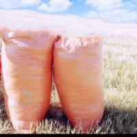 فروش ۱.۵ تن تازه امسال پرشده آماده