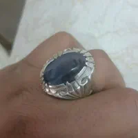 شجر قائنات رکاب زنجان قاسمی