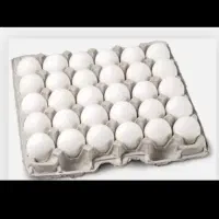 تخم مرغ فقط ۱۵۰