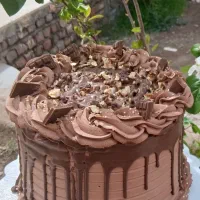 وانیا کیک