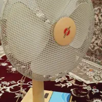 پنکه مارک خزر