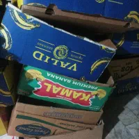 کارتن موزی دونه 30تومن