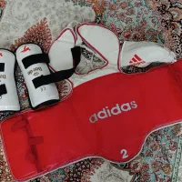 هوگو ی تکواندو