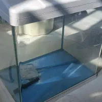اکواریم