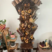 بار دکوراتیو