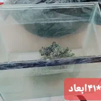 قفس طوطی ،قفس پرنده، اکواریوم|لوازم جانبی حیوانات|شهرضا, |دیوار