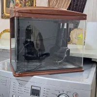 اکواریوم با لوازم