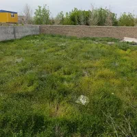 زمین دور دیوار ملکی