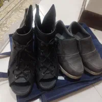 تعدادی کفش زنانه سالم ونو