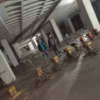 بتن ریزی کف با دستگاه ماله پروانه|خدمات پیشه و مهارت|زنجان, |دیوار