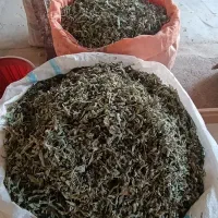 پونه درجه یک|خوردنی و آشامیدنی|گیلان غرب, |دیوار