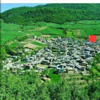زمین زراعی مسکونی ۳۰۰ متر روستای سوسرا|فروش زمین و ملک کلنگی|نوده خاندوز, |دیوار