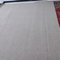 پالازموکت طرح پونه|موکت|شهرکرد, |دیوار