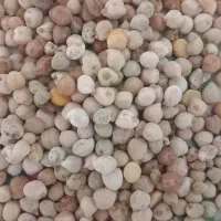 نخود برمان تمیز کیلو ۸۰هزار