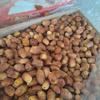 خرمای زاهدی درجه ۱