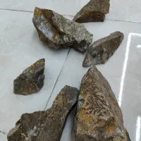 سنگ شجر