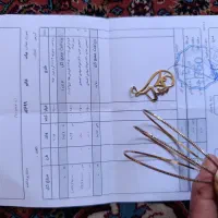 النگو زیبا ومحکم بدون درصد برای سرمایه گذاری ومصرف