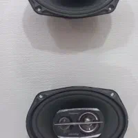 باند پایونیر ۶۹۷۵