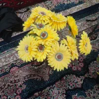 گلهاتمیزوسالم|گل مصنوعی|سبزوار, زینبیه|دیوار