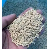 جو یارمه شده