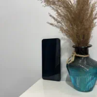 گوشی اس ۲۴ اف ایی