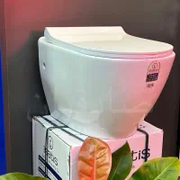 کاسه والهنگ ایساتیس یزد مدل سیکاس سفیدفرنگی دیواری