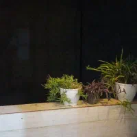 تکواحدی-جنوبی-باکری-قائمیه