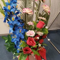 گل خواستگاری در حد نو به علت نداشتن جا