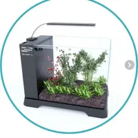 آکواریوم شرکتی