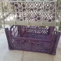 سبدمیوه