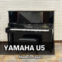 بهشت پیانیست ها|پیانو، کیبورد، آکاردئون|تهران, سیمای ایران|دیوار