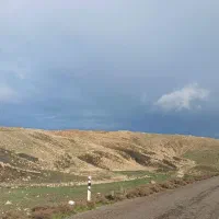 نیازمند گچ کار