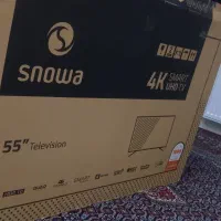 کارتون|تلویزیون و پروژکتور|سنندج, |دیوار