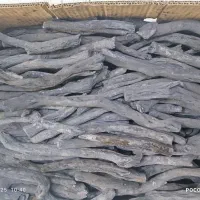 ذغال تاق مشهد