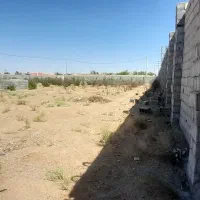 فروش زمین ۱۸۰۰ متری در شاهین شهر (جهاد آباد)|فروش زمین و ملک کلنگی|شاهین‌شهر, برخوار غرب|دیوار