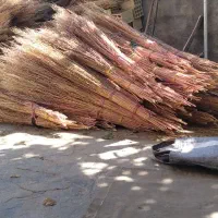 جاروی شهرداری