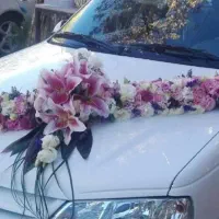 اجاره ماشین عروس با راننده|خودرو اجاره‌ای|قم, چهار مردان|دیوار