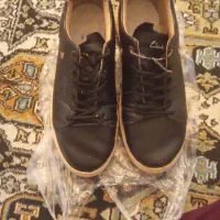 کفش چرم ۴۳|کیف، کفش، کمربند|پرند, فاز ۵|دیوار