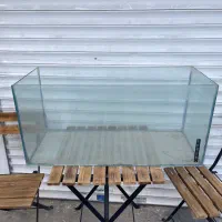 اکواریوم سالم سالم