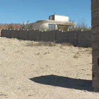 زمین باغ شهری 1000 متری واقع در حسین آباد کودیان|فروش زمین و ملک کلنگی|شیراز, کودیان|دیوار