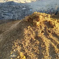 کود حیوانی رایگان