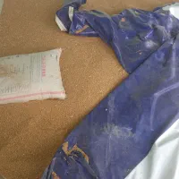 گندم آبی  .ویژه بذر|گل و گیاه طبیعی|شازند, |دیوار