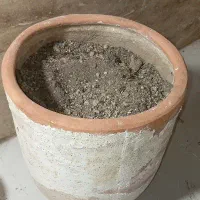 فروش گلدان|گل و گیاه طبیعی|شیراز, کوشک میدان|دیوار
